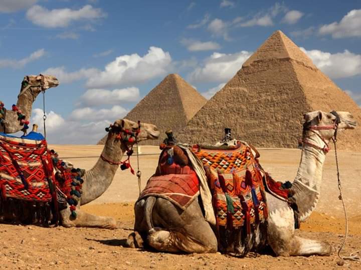 Egypt Budget Tour Package Cairo - Nile Cruise 8 days 7 nights